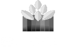 Logo Bi-Safe